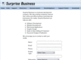 surprisebusiness.com
