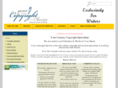 computercopyrightissues.com