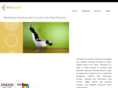 clickspeed.net