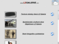 lzgalerie.com