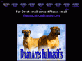 dreamacres-bullmastiff.com
