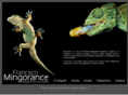 franciscomingorance.com