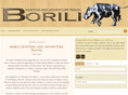 borili.com