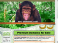 zoapy.com