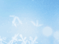 adcnutcracker.com