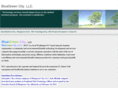 bluegreencity.com