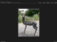 chriscranefineart.com