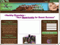 healthychocolateforsuccess.com