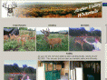 antlervalley.com