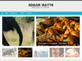 edgarbatte.com
