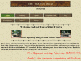 easttexasminitrucks.com