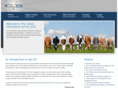 thecis.co.uk