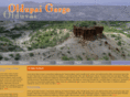 olduvai-gorge.com