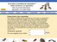 exterminateurcoquerelles.com