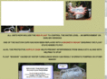 reefloat.com