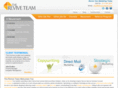reviveteam.com