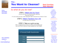 soyouwanttocleanse.com