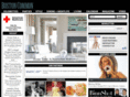bostoncommon-magazine.com
