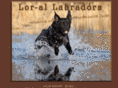 lor-allabs.com