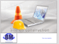 bmri.net