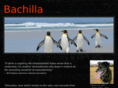 bachilla.org