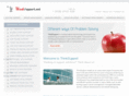 thinksupport.net
