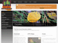 fourforestrestorationinitiative.com