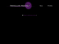 triangular-prism.net