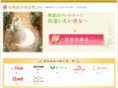 weichi-rockzzz.com