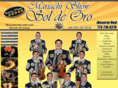 mariachishowsoldeoro.com