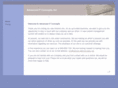 advanceditconcepts.net