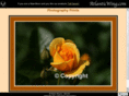 computertrainingdvd.com