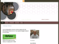 ijon.com