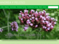 andreapeloso.com