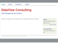 dataviewconsulting.com
