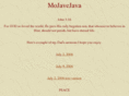 mojavejava.com