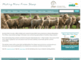makingmorefromsheep.com.au