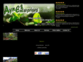 aynesenterprises.com