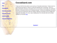 cacaoexplorer.com