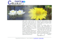 cellillipiante.com