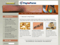 paytopurse.com