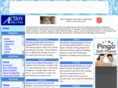 actionads.com