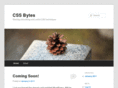 cssbytes.com