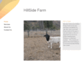 hillsidefarm2720.com