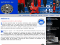autoexcelinc.com