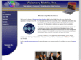 visionarymatrix.net