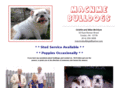 macnmebulldogs.com