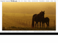 equineimagesbykim.com