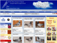 the-pigeonauction.com