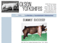 olsenyorks.com